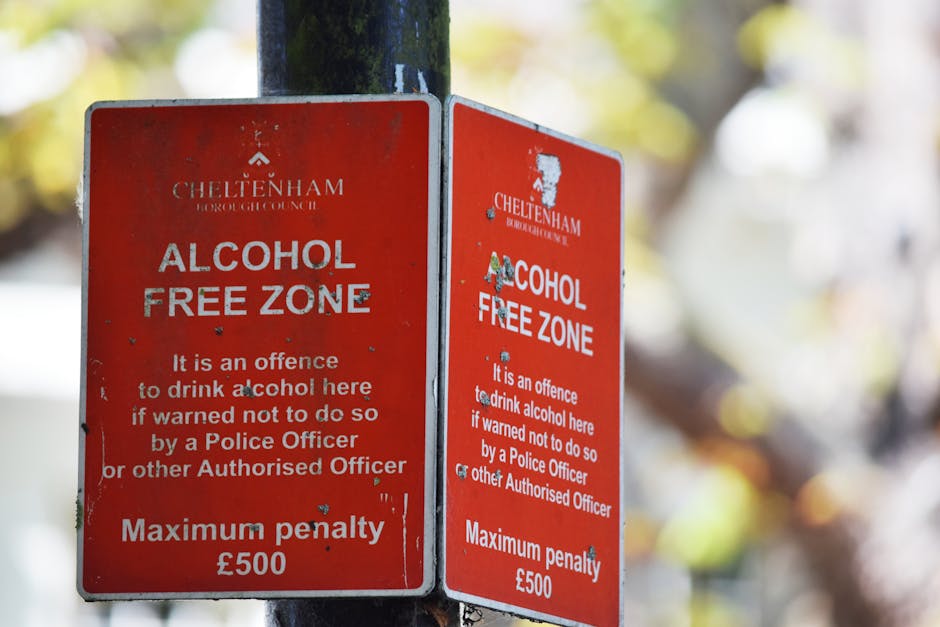 Two red Cheltenham Borough Council 'Alcohol Free Zone' signs attached to a dark metal pole, with the text in white capital letters. The signs state that it is an offence to drink alcohol here if warne